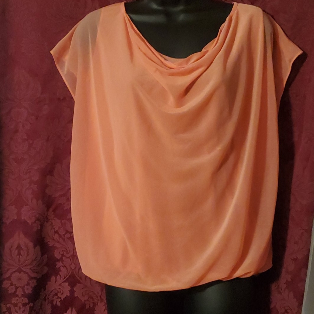 Worthington Peach top size L.  5/25